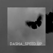 Dabro Speed Up