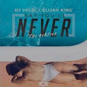 Say You Ll Never Dj Valdi Elijah King Alex Guerrero