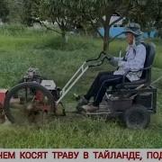 Кубатура Сборник