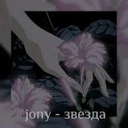 Звезда Jony Speed Up