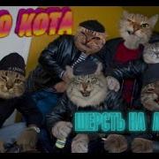 Слова Кота