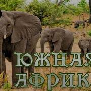 Filename Клип Обречённый