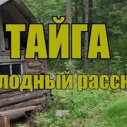 Рассказы О Тайге Коляныч