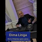 Dima Linga 2022