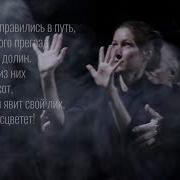 Беседы Птиц Книга