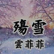 殇雪