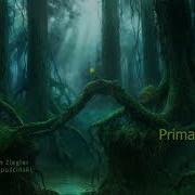 Celtic Forest Music Primal Bonds By Adrian Von Ziegler