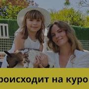 Турецкая Очень Красивая Песня