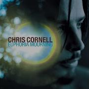 Chris Cornell Pillow Of Your Bones