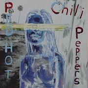 Red Hot Chili Peppers Bicycle Song