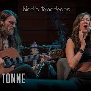 Bird S Teardrops Estas Tonne