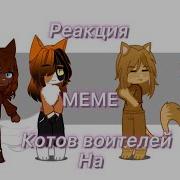 Реакция Котов Воителей На Meme