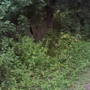 Велосипед Красная Плесень