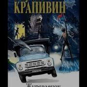Владислав Крапивин Журавлёнок И Молнии