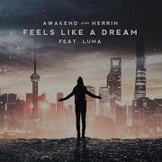 Feels Like A Dream Awakened