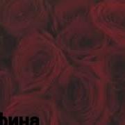 Цыганская Полька 2019