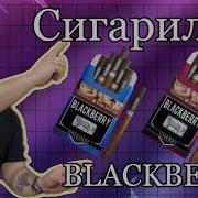 Blackbery Trip Дым