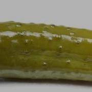 Pickle Song