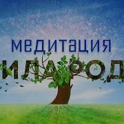 Медитации Роды