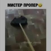 Мистер Попер Виселей В Доме Чиста