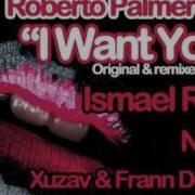 Roberto Palmero I Want You