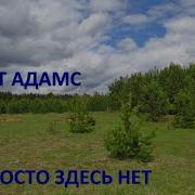 Роберт Адамс Вас Просто Здесь Нет