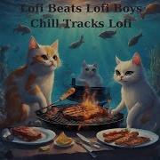 Lofi Study Days Lo Fi Beats Chillhop Chancellor Lo Fi Boys