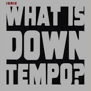 What Is Downtempo Club Mix