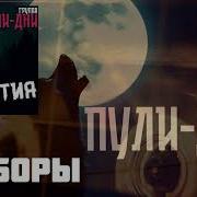 Пули Дни Заборы