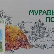Великан На Поляне