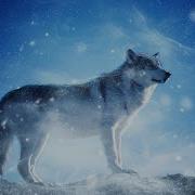 Maria Daines Lullaby Of Wolves