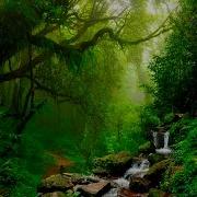 Unwind With Flute Music Relaxing Nature Sounds Collection