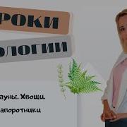 Параграф 40 Плауны Хвощи Папоротники