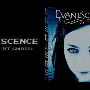 Evanescence Bring Me To Life 24 Bit