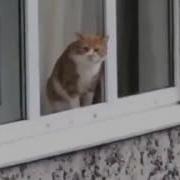 Не Прыгай Придурок О Семье Подумай