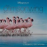 The London Metropolitan Orchestra Life Of The Bird