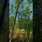 Мартынович Не Надо Бабы Меня Судить