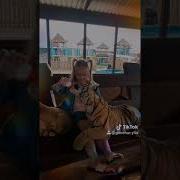 Прикол Ну И Что Мне С Тобой Делать