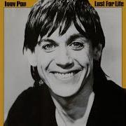 Fall In Love With Me Iggy Pop