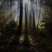 Never Fade Away Andy Duguid Remix John O Callaghan