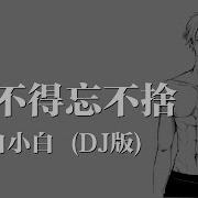 爱不得忘不舍 Dj版