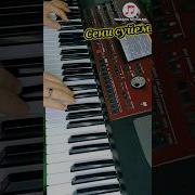 Сени Суйем Cover Korg Pa 700