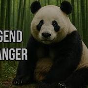 Hope For The Future Of Pandas