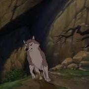 The Bear Fight Todd Copper And Aleu