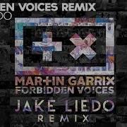 Martin Garrix Forbidden Voices Vs Forbidden Voices Jake Liedo Remix