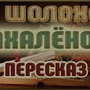 Михаил Шолохов Нахалёнок