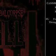 Cannibal Corpse Death Metal Backup