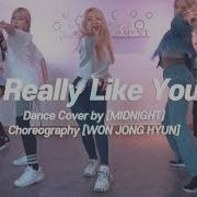 Carly Rae Jepsen I Really Like You Dance Cover By Midnight