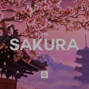 Grillabeats Sakura