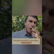 Всех Ждём В Гости Таджикистан